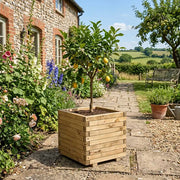 Wooden Pine Raised Cube Planter